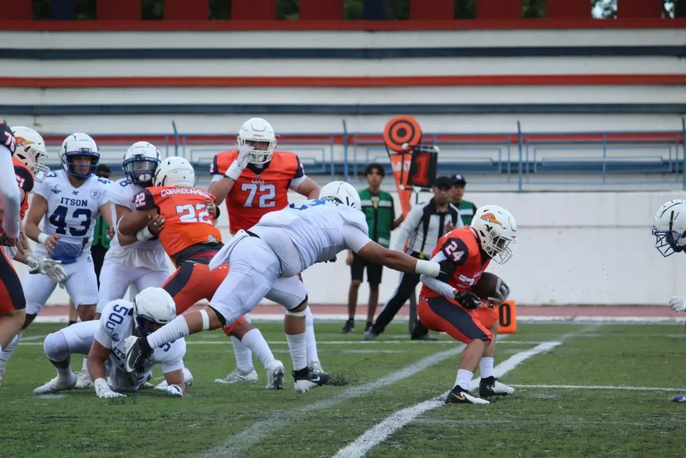1 (19)
